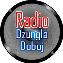 Radio Dzungla Doboj APK