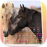 Pony horse love keyboard