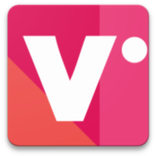 LITE VIDEO DOWNLOADER