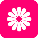 Gallery APK