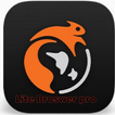 Lite Browser Ads blocker india