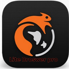 Lite Browser Ads blocker india simgesi