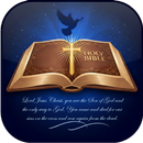 The Bible APK