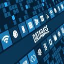 Pakistan Lite Database APK