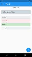 Polish Grammar Tests screenshot 2