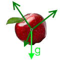 Sir Isaac's Apple