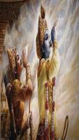 Bhagavad-Gita in All Language Ekran Görüntüsü 3
