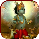 Little Krishna Wallpaper,Gopal APK