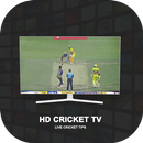 T20 Live Cricket TV Match Tips APK