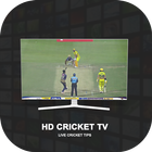 T20 Live Cricket TV Match Tips icône