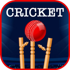 Today Live Cricket Match 圖標