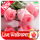 Pink Rose Live Wallpaper Pink  APK