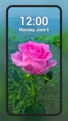 Live wallpapers, 4k wallpaper XAPK download