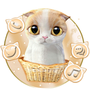Cute Cartoon Cats Themes HD Wallpapers 3D icons APK