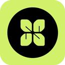 Live VPN APK