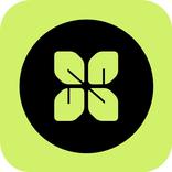 Live VPN