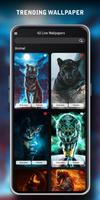 4D Live Wallpapers screenshot 2