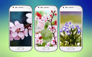 Sweet Flower 3D Live Wallpaper تصوير الشاشة 1