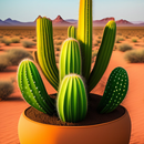 papel de parede de cacto APK