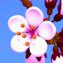 fundo de flor de cerejeira APK