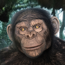 papel de parede chimpanzé APK