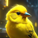 bird wallpaper APK
