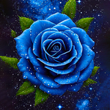 blue rose wallpaper