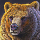 papel de parede de urso APK