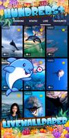 dolphin wallpaper 截图 2