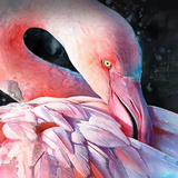 papel de parede do flamingo