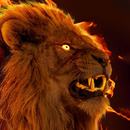 lion background APK