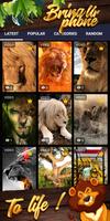 lion background screenshot 1