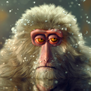 papel de parede do macaco APK