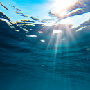 papel de parede do mar APK