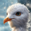 papel de parede de gaivota APK