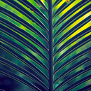 papel de parede da palmeira APK