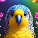 papel de parede de periquito APK