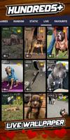 برنامه‌نما pitbull dog wallpaper عکس از صفحه