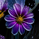 papel de parede de flor roxa APK