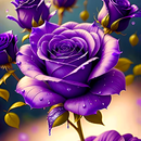 papel de parede rosa roxa APK