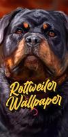 rottweiler wallpaper poster