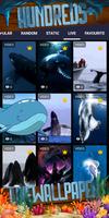 fondo de pantalla de ballena captura de pantalla 2