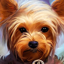 papel de parede yorkie APK