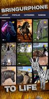 zebra wallpaper 截圖 1