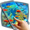 ”Fish Live Wallpaper