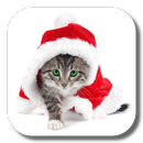 Christmas Cat Live Wallpaper APK