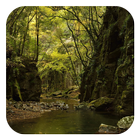 Las Na Żywo Tapety ikona