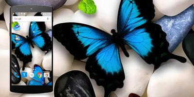 Butterfly Live Wallpaper پوسٹر