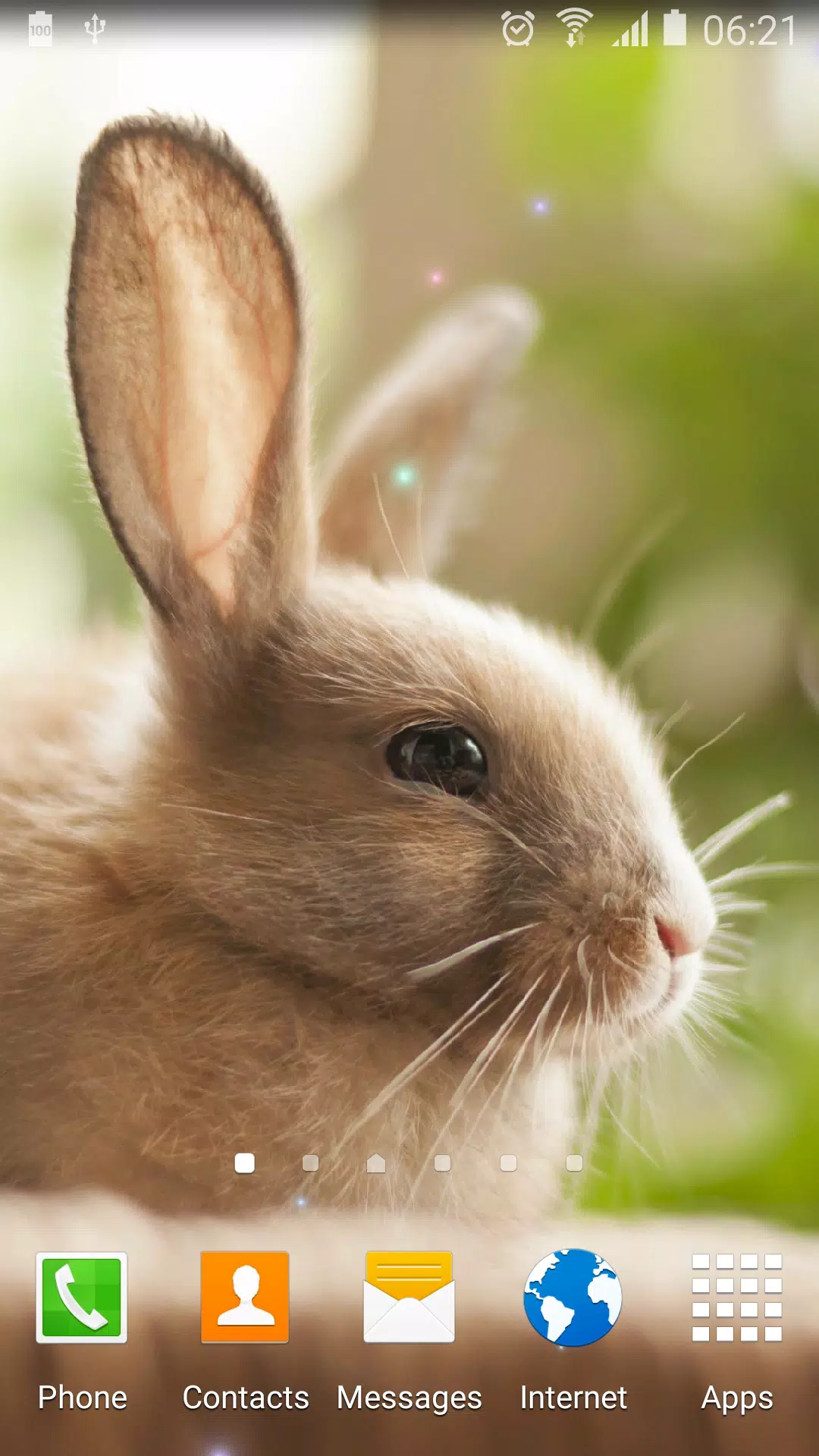 Cute Animals Live Wallpaper APK for Android Download Cute Animals Live Wallpaper APK for Android Download