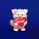 APK Cute Cat Live Wallpaper